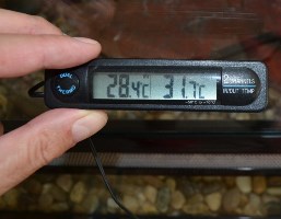 Thermometers for My Reptile Enclosure 2