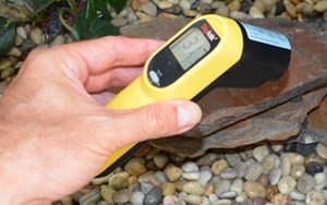 Pet Owners Find Temperature Gun Helps Maintain a Healthy Reptile Enclosure  - ennoLogic