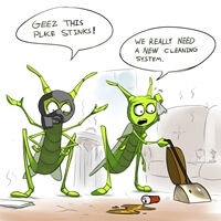 How To Stop Crickets Smelling