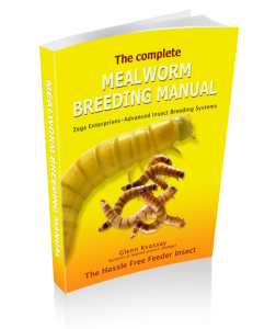 download breeding mealworms